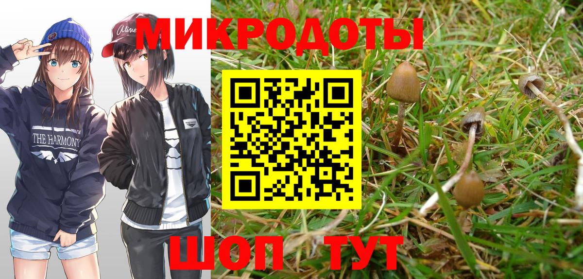 Галлюциногенные грибы Psilocybe  Галлюциногенные грибы мухоморы  Вход с VPN  Россошь 