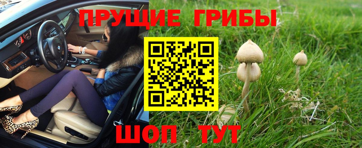 Псилоцибиновые грибы ЛСД Россошь